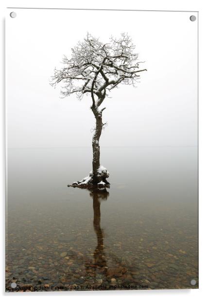 Lone Tree Acrylic by John Easton
