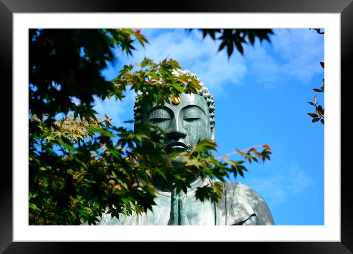 Buddha Through the Maple Leaves Framed Mounted Print by Justin Bowdidge