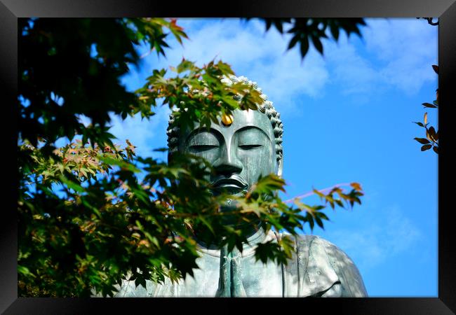 Buddha Through the Maple Leaves Framed Print by Justin Bowdidge