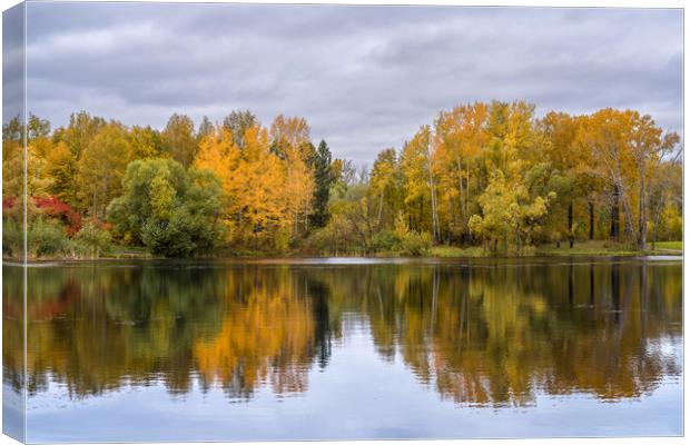 The lake, reflecting the cloudy sky and autumnal f Canvas Print by Dobrydnev Sergei