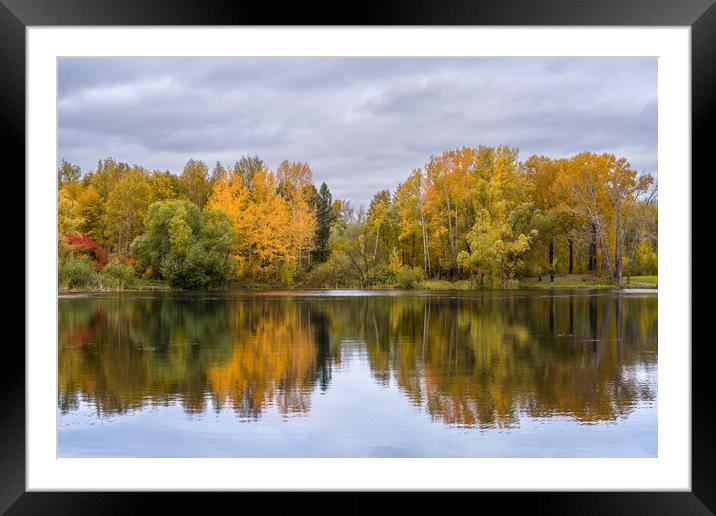 The lake, reflecting the cloudy sky and autumnal f Framed Mounted Print by Dobrydnev Sergei