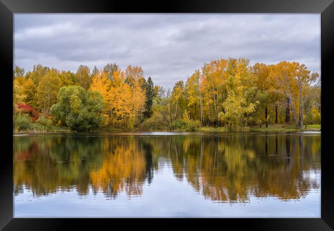 The lake, reflecting the cloudy sky and autumnal f Framed Print by Dobrydnev Sergei