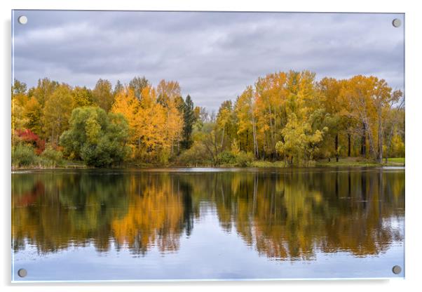 The lake, reflecting the cloudy sky and autumnal f Acrylic by Dobrydnev Sergei