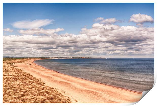 Sunny Day at Seaton Sluice Beach Print by Naylor's Photography