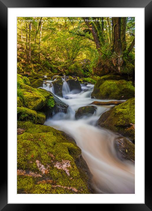 Golitha Falls.  Framed Mounted Print by Tracey Yeo
