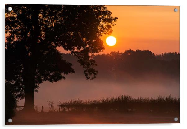 A September sunrise Acrylic by Caroline Burton