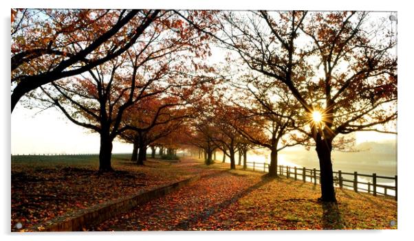 Autumn Sunrise on the Arakawa Acrylic by Justin Bowdidge