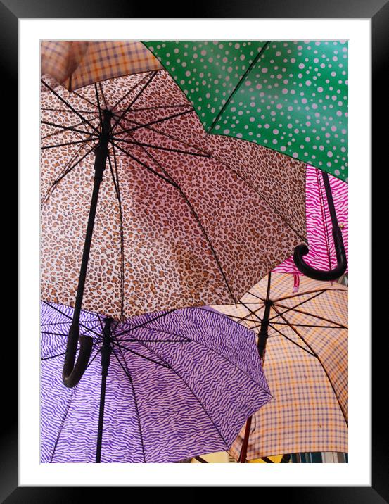 Umbrellas Framed Mounted Print by Ceri Jones