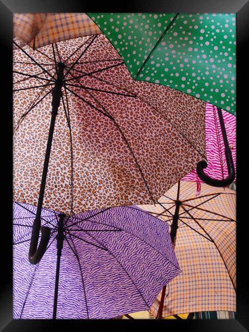 Umbrellas Framed Print by Ceri Jones