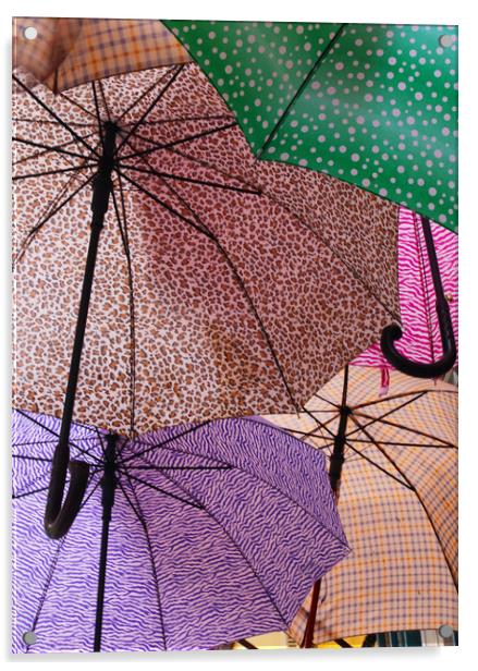 Umbrellas Acrylic by Ceri Jones