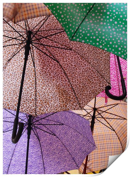 Umbrellas Print by Ceri Jones
