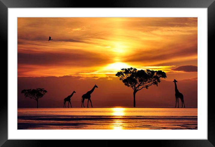 walk on the wildside Framed Mounted Print by sue davies