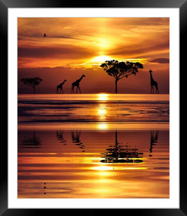 reflections in the sunset Framed Mounted Print by sue davies