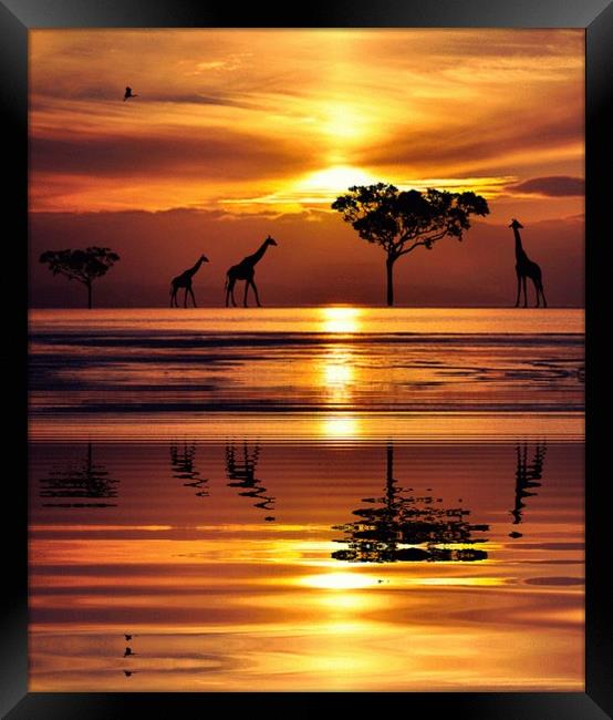 reflections in the sunset Framed Print by sue davies