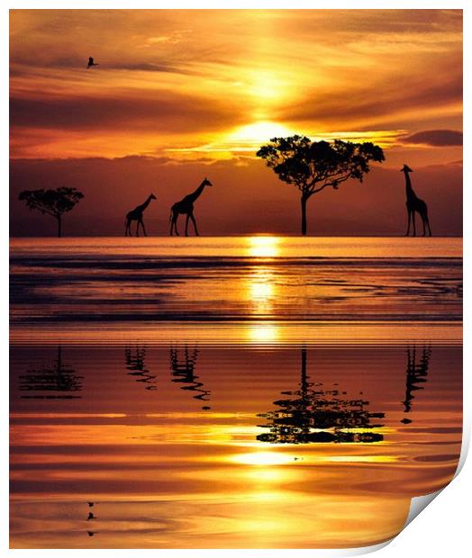reflections in the sunset Print by sue davies