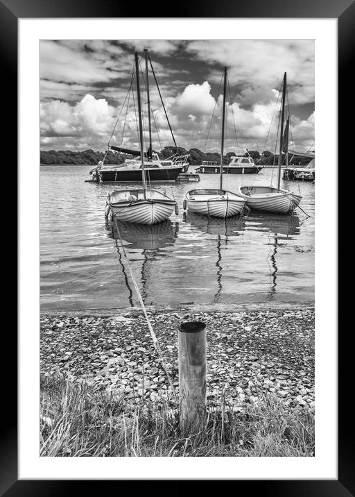 Ready steady sail Framed Mounted Print by Alf Damp