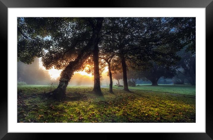 Sunrise at Ravenhill Park Framed Mounted Print by Leighton Collins