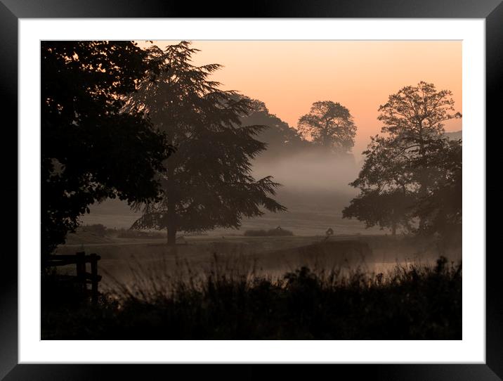 Misty Morning Framed Mounted Print by Chantal Cooper
