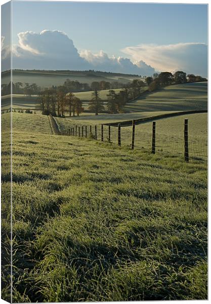 Frosted fields in Mid Devon Canvas Print by Pete Hemington