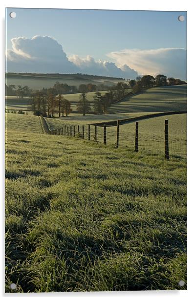 Frosted fields in Mid Devon Acrylic by Pete Hemington