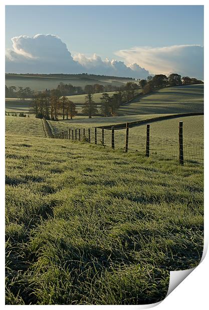 Frosted fields in Mid Devon Print by Pete Hemington