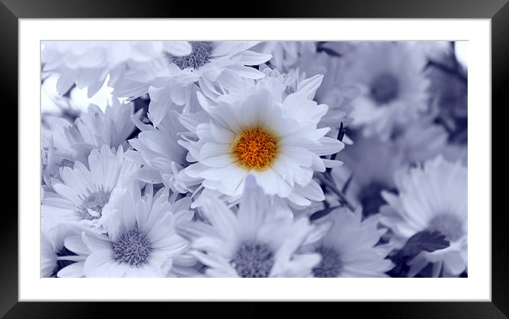 beauty within Framed Mounted Print by anurag gupta