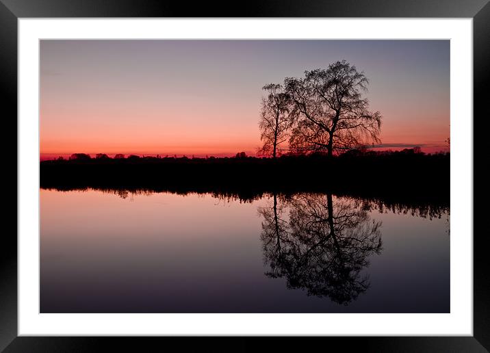 Natures Twins Framed Mounted Print by Paul Macro