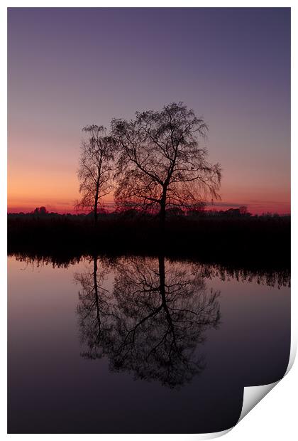 Reflective Tree at Sunset Print by Paul Macro