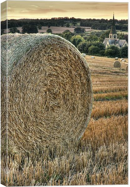 Harvest Time Canvas Print by Martin Williams
