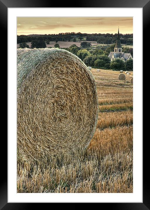 Harvest Time Framed Mounted Print by Martin Williams
