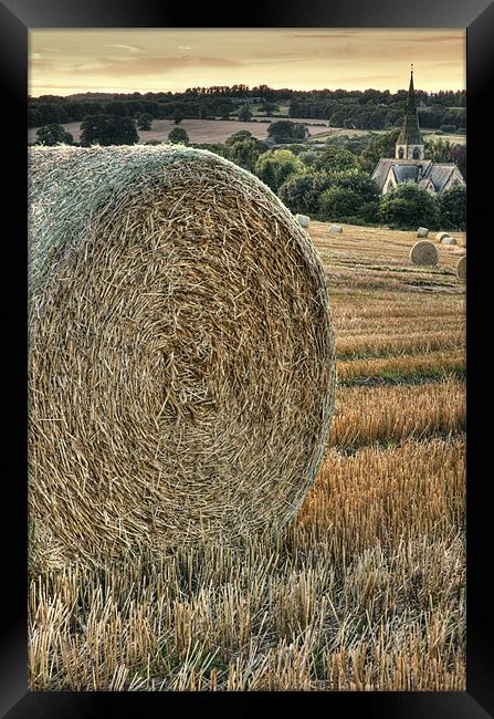Harvest Time Framed Print by Martin Williams