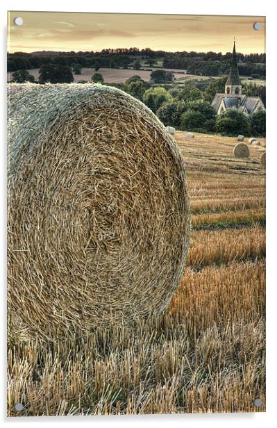 Harvest Time Acrylic by Martin Williams