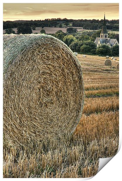 Harvest Time Print by Martin Williams