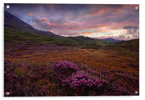 Morning Light - Isle of Skye, Cuillin Hills Acrylic by David Lewins (LRPS)