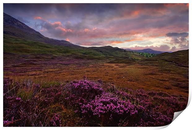Morning Light - Isle of Skye, Cuillin Hills Print by David Lewins (LRPS)