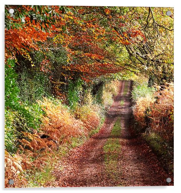 Autumn Track Acrylic by Christine Jeffrey