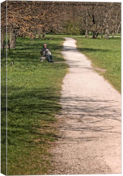 Long Path In The Park Canvas Print by Jukka Heinovirta