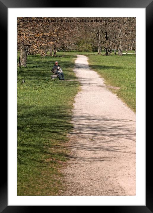 Long Path In The Park Framed Mounted Print by Jukka Heinovirta