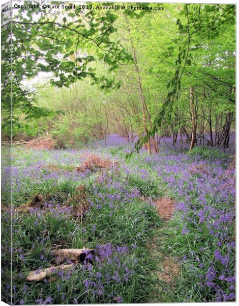 Hidden Bluebell Wood Canvas Print by Kate Small
