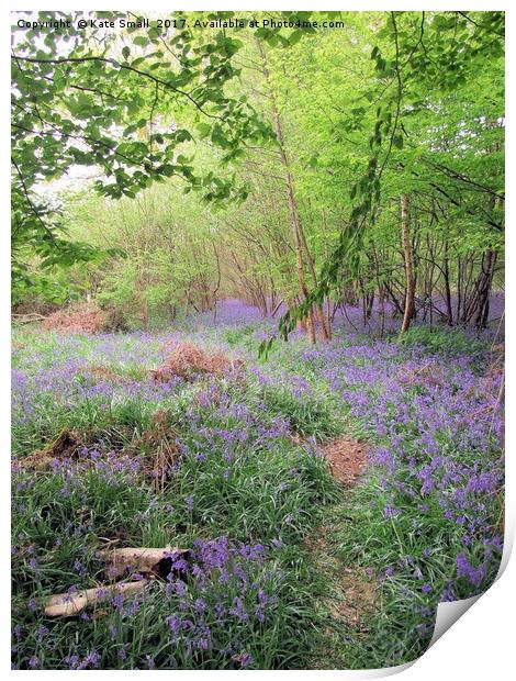 Hidden Bluebell Wood Print by Kate Small