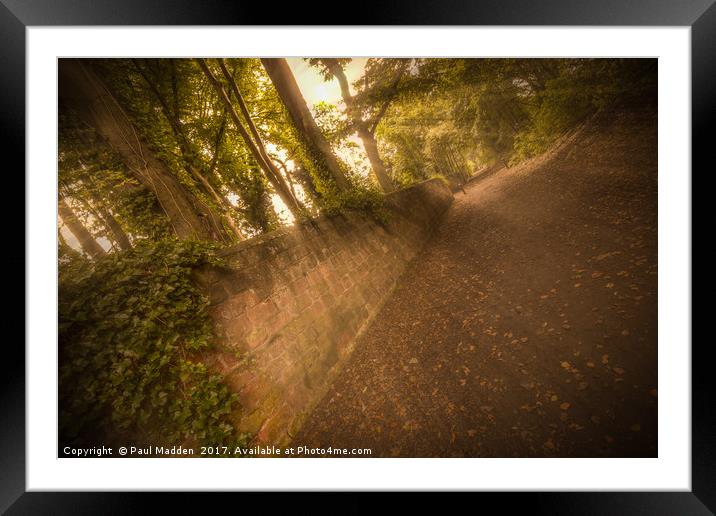 Autumn in the park Framed Mounted Print by Paul Madden