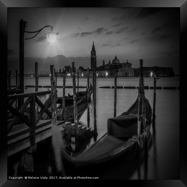 VENICE Gondolas during sunrise in black and white Framed Print by Melanie Viola