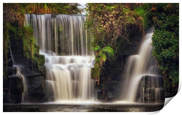 Penllergare waterfall Print by Leighton Collins