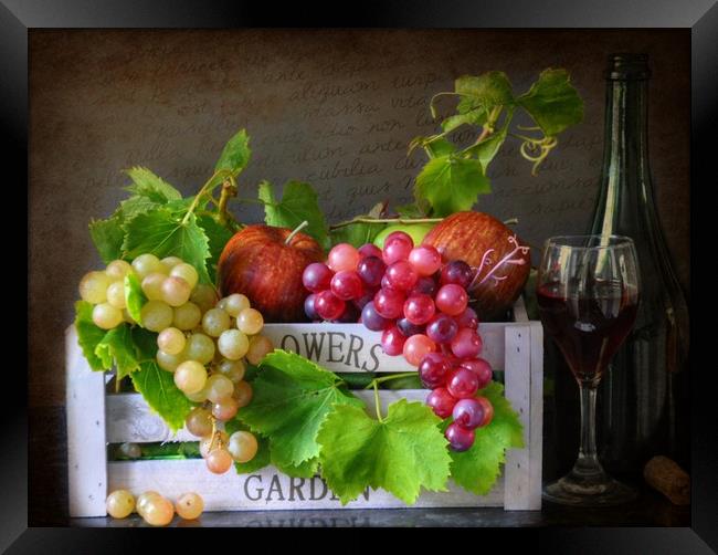 wine and fruit Framed Print by sue davies