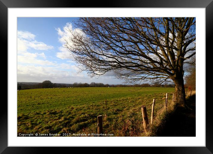 Winter Oak Tree and Countryside Weald of Kent Framed Mounted Print by James Brunker