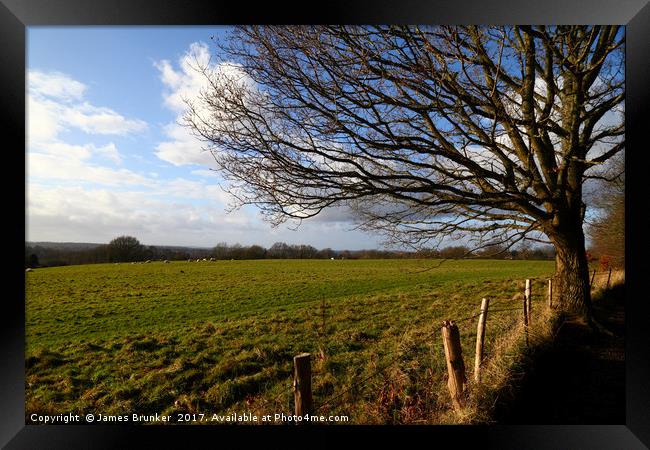 Winter Oak Tree and Countryside Weald of Kent Framed Print by James Brunker