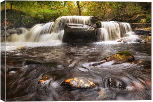 Taf Fechan Forest waterfall Canvas Print by Leighton Collins
