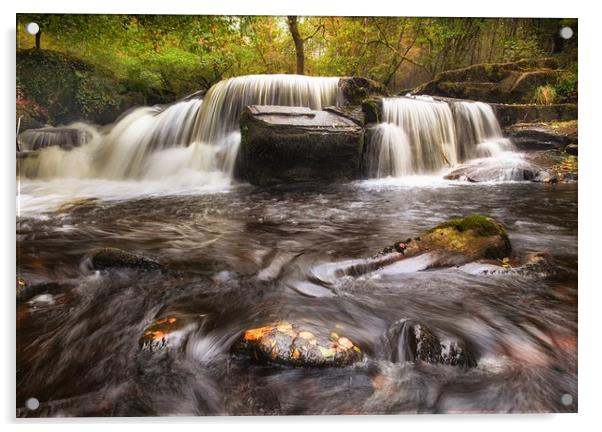 Taf Fechan Forest waterfall Acrylic by Leighton Collins