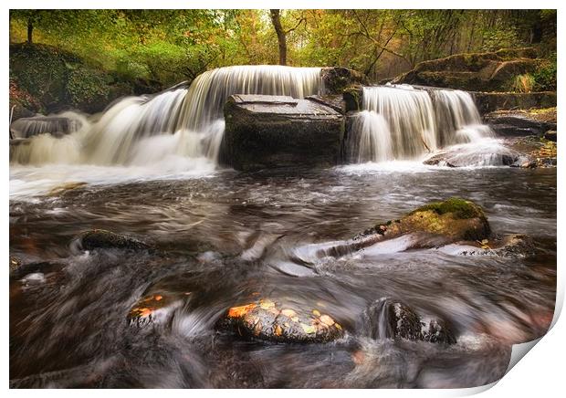 Taf Fechan Forest waterfall Print by Leighton Collins