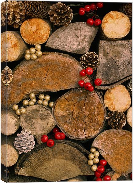 Background for Christmas Menus, cards et Canvas Print by David (Dai) Meacham